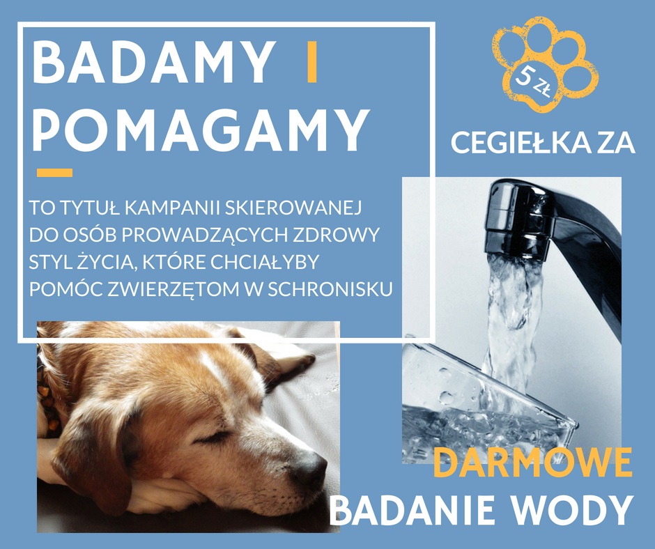You are currently viewing BADAMY I POMAGAMY !!!