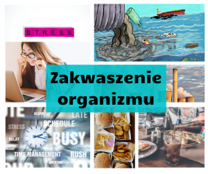 Read more about the article Jak zapobiegać zakwaszeniu organizmu ?